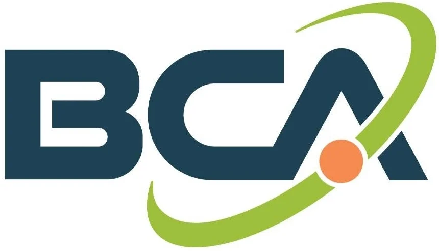 11. BCA IT, Inc.