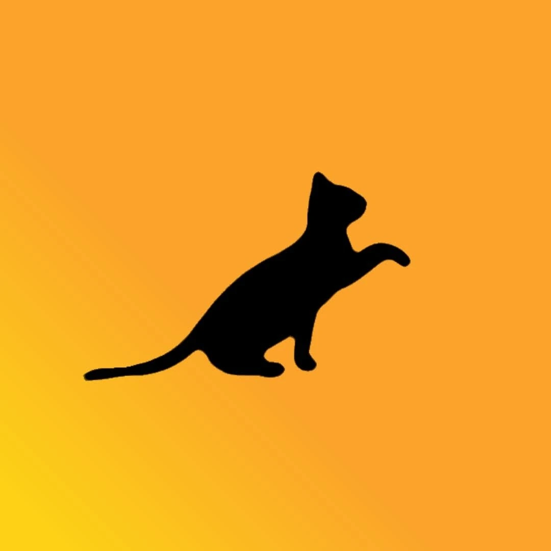 6. BlackCatSEO