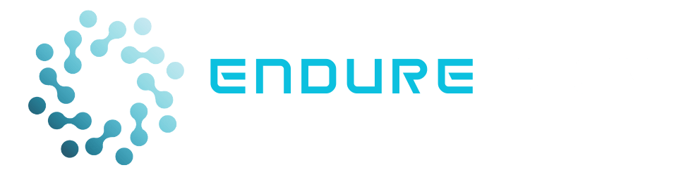 11. Endure 