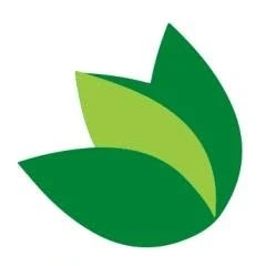 11. Green Lotus