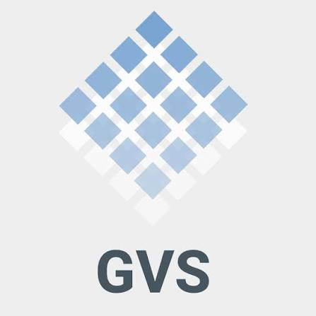 13. GVS IT Services
