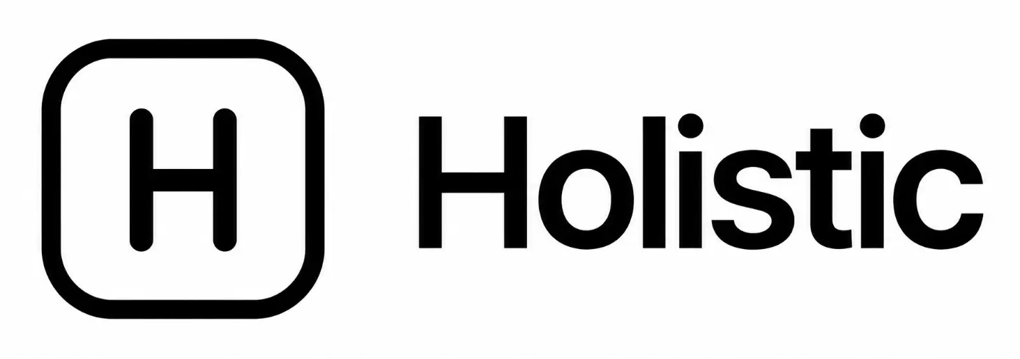 8. Holistic SEO