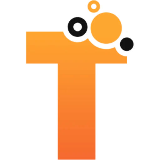 6. Tampa IT Services