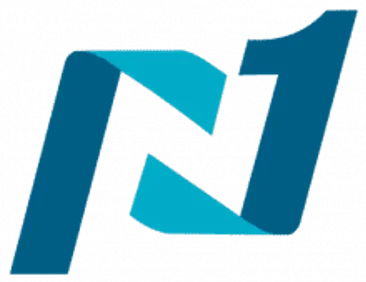 8. Network 1 Consulting