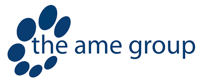 6. The AME Group