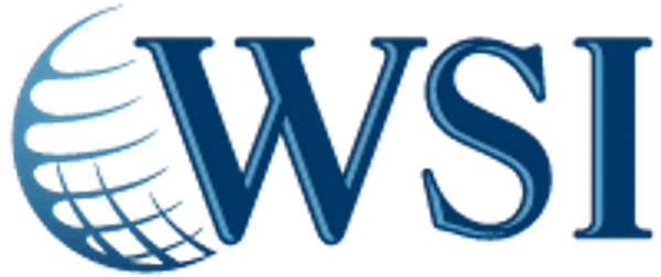6. WSI eStrategies